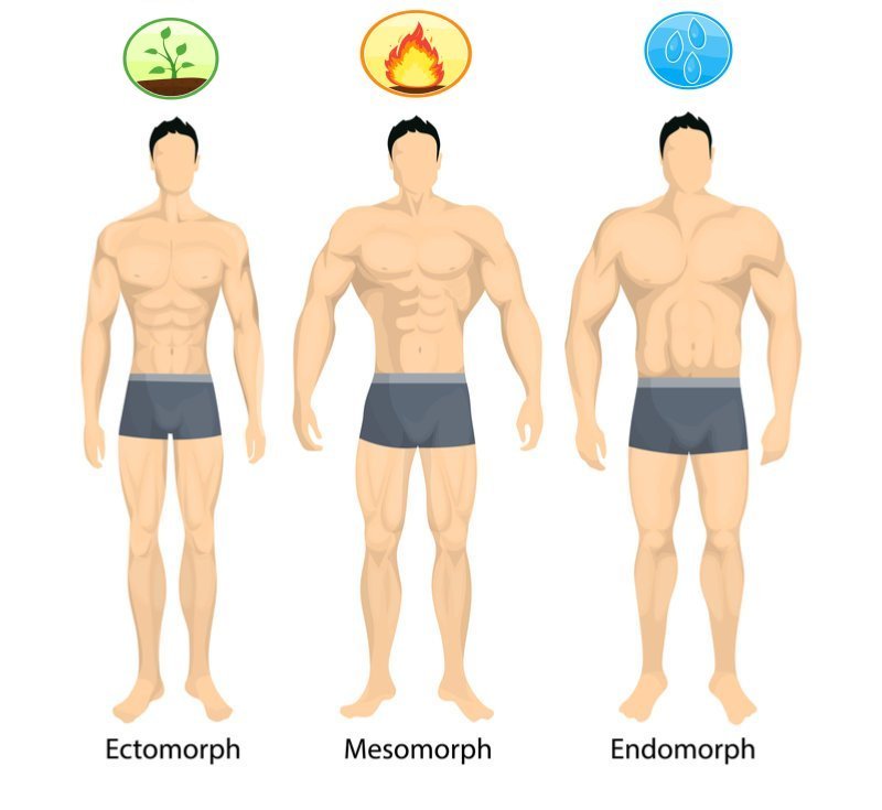 ninjutsu elements reflected in body type