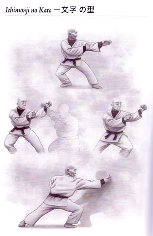 ninjutsu elements as water element counter