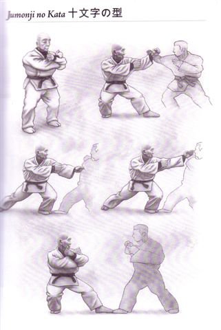 ninjutsu elements as fire element counter